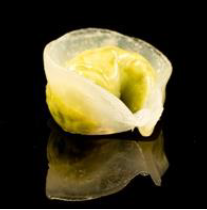 25 RAVIOLI EDAMAME 3 pz