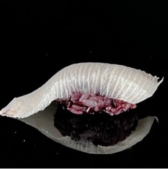 97 NIGIRI VENERE RICCIOLA 2 pz