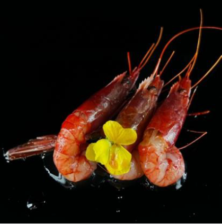 S10 Gambero sosso 3pz